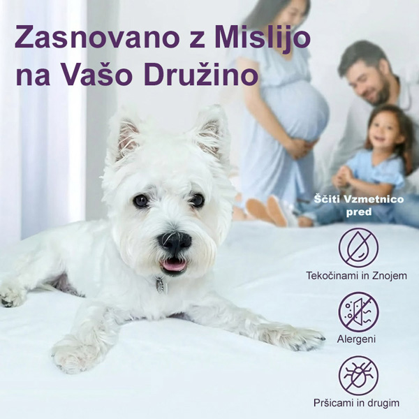 CLOUDREAM-3831127613059-SI-5__311225